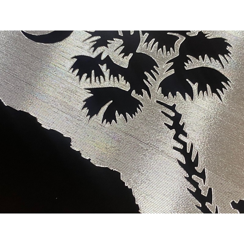 Engraved SC Palm Palmetto Tree Car Tag Diamond Etched Vanity