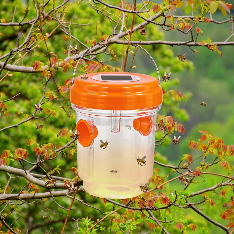 3 Pieces Carpenter Bee Cage, Wasp Outdoor Hanging with Solar