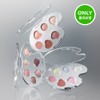 BBIA Last Eye Palette 5g - [SET] 05 Blooming Drawing