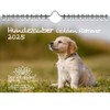 Hundezauber Golden Retriever DIN A5 Calendar for 2025 Puppies and