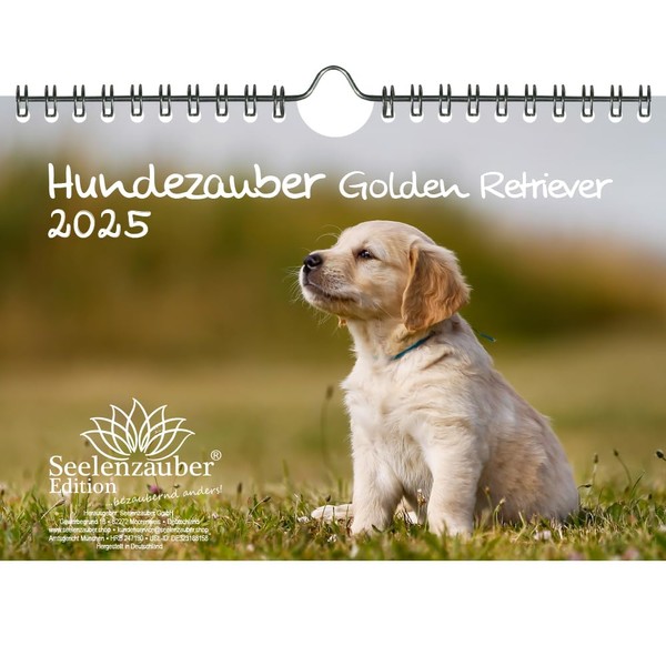 Hundezauber Golden Retriever DIN A5 Calendar for 2025 Puppies and