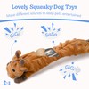 SHARLOVY Dog Squeaky Toys No Stuffing 2 Pack, Plush Crinkle