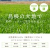 ミッシーリスト 美力青汁 4g×30包 青汁 国産 無添加 粉末 大麦若葉 乳酸菌 菌活
