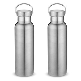 Neihepal 20 oz Insulated Water Bottles Bulk 2 Pack,Stainless Steel Double Wall Sport Bottle with Lid of Handle,Metal Reusable Thermoses Flask with Cup Cap for School,Cyclists,Gift (Silver,Set of 2)
