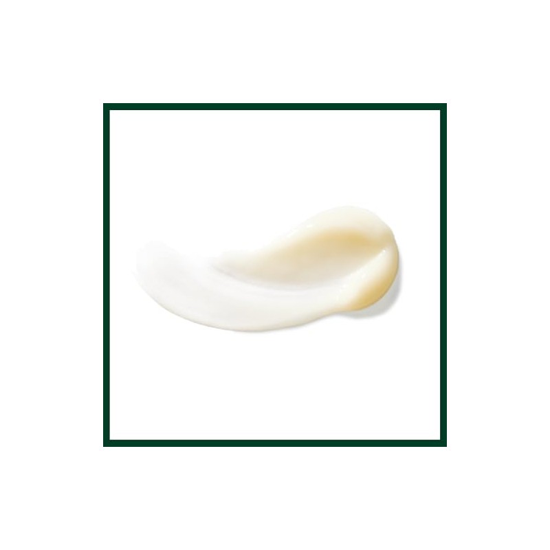 Aveda Pure-Formance Acondicionador | Aporta Brillo