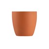 Cooks Professional Stainless Steel Espresso Cups | Pack of 2