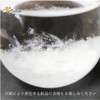 fullion Storm Glass Bird Bird with Wood Base