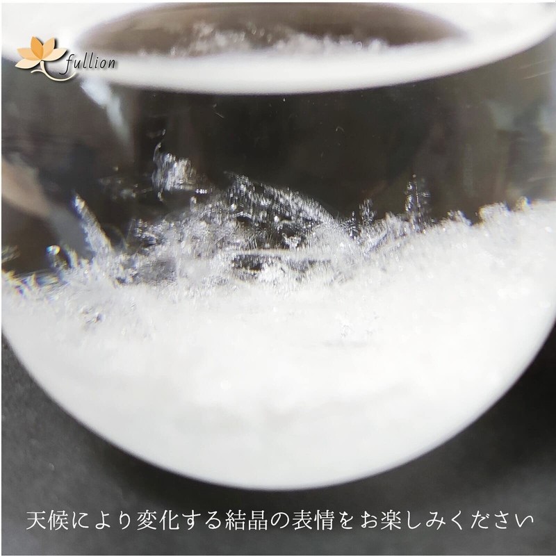fullion Storm Glass Bird Bird with Wood Base