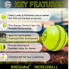 ONEGlobal Incrediball Soft Practice Cricket Ball | Outdoor & Indoor