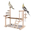 RoseFlower Wooden Bird Playground Parrot Playstand, Bird Perches Stand for