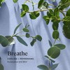 Sprig by Kohler Breathe Aromatherapy Candle with Eucalyptus and Mint,