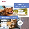 Ichinen Chemicals Car Sponge Clinview Pet Hair Removal Sponge 1