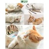 Cat Teeth Grinding Stick, Cat Chew Toy, Agatabi Tree, Kitten