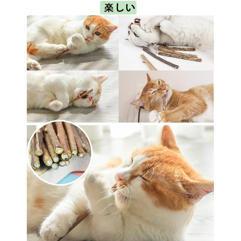 Cat Teeth Grinding Stick, Cat Chew Toy, Agatabi Tree, Kitten