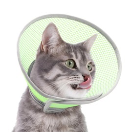 Supet Cat Cone Collar Soft Comfortable Adjustable Waterproof cat recovery collar After Surgery to Stop Licking and Scratch, Alternative to Plastic Elizabeth Head Neck Cone (Green L)