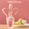 Fruit Food Feeder Pacifier Silicone Safe Reduce Soreness Feeder Teething