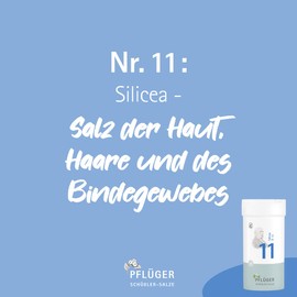 PFLÜGER Schüßler Salts No. 11 Silicea D12 - 15 g Globules - The Salt of Hair, Skin and Connective Tissue - Lactose Free