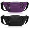 FRIUSATE 2 Pcs Bum Bag Waist Bags for Men, Travel