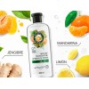 Shampoo Herbal Essences Mandarina, Jengibre, Menta 400ml 3pz