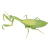Remote Control Insects RC Animals Children Adults Trick Toys Electric