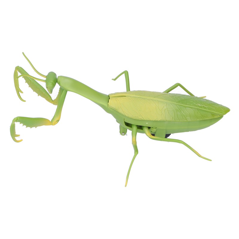 Remote Control Insects RC Animals Children Adults Trick Toys Electric