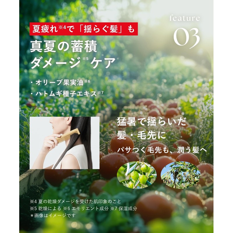 [2025 Summer Limited] Botanist Hair Oil Moist Fruit Tomato &