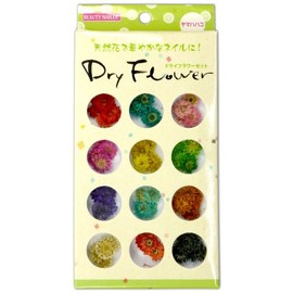 BEAUTY NAILER DRF-2 Dried Flower Set
