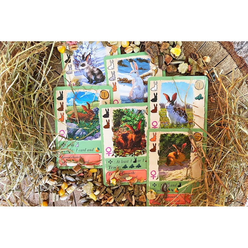 LITTLE ROCKET GAMES CONEY Board Game in Italian