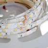Mextronic LED Strip/LED Strip Dimmable Neutral White (4000 K) IP44,