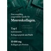 Intenson Marine Collagen Powder 300 g, Type I Fish Collagen
