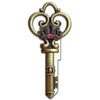 Lucky Line Key Shapes,Medieval SKELETON KEY - House Key Blank,