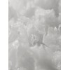 Diponde Signature Origin 86 Mist 50ml / 시그니처 오리진 86