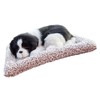 Actived Carbon Dog Plush Toy Odor Removal Air Purification Sleeping