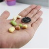 Zzooi - Bellotas Artificiales de imitación de nueces de imitación,