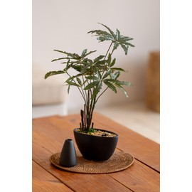 Avoeco Artificial False Aralia-21.2" Plant with Pebbles & Ceramic Pot – Realistic Faux Money Tree – Artificial Bonsai Tree for Home, Office, Boho, Modern,Minimalist & Japanese Decor (Black)