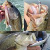 Jerkbait-for-Bass-Fishing-Minnow-Lure-Suspending-Jerk-Baits-Fishing-Lures Kit