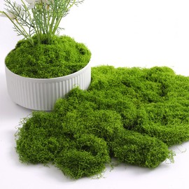 DAICHAOLU Simulation Artificial Moss Natural Green Lawn Handmade DIY Gardening Art Wall Flower Shop Bonsai Landscape Decoration Easter Dining Table Wedding Decoration 500g
