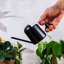 Mini Watering Can, 10oz/300ml Stainless Steel Long Spout Sprinkling Pot Small Watering Can for Plants, Garden Watering Pot for Indoor Outdoor Flowers, Succulents(Black)