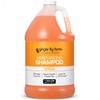Ginger Lily Farms C and F Formula Shampoo, Citrus Gallon,