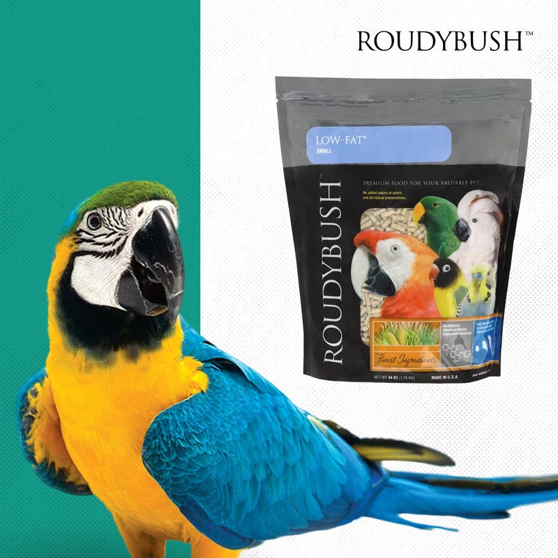 Roudybush Low Fat Food for Adult Birds & Chicks -