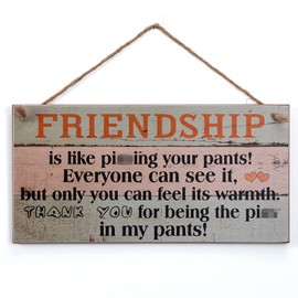 Yankario Funny Friendship Gifts for Women Friends - Birthday Gifts for Best Friends Unique Gifts for Her - Wall Art Decor Wooden Sign, 12" by 6"