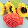 50 Pieces Fruit Protection Bags Foam Mesh Keep Safe Mesh