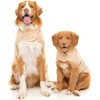 FuzzYard Beige Teddy Dog Wrap Vest (6)