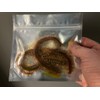 King Ragworm 22cm (8") x3 Natural Ragworm Life like Artificial