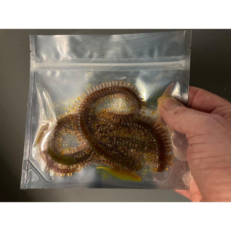 King Ragworm 22cm (8") x3 Natural Ragworm Life like Artificial