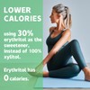 DC24 DAILY CARE Xylitol Erythritol Mints, No Aspartame Sugar Free