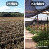 HaGa Shade Net, 3 m Width with 40% Shading Effect,