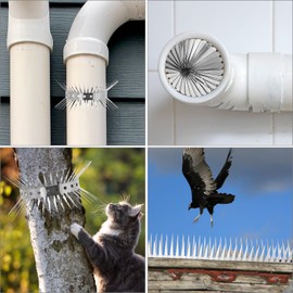 QWORK Bird Spikes, Stainless Steel Animal Deterrent Spikes, Keep Birds Squirrel Woodpeckers Away, for Roof Window Fence, 79 Inches