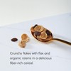 Nature's Path Organic Flax Plus Raisin Bran Cereal, 14 oz