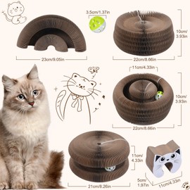 Qoosea Magische Orgel Katzenkratzbrett katzenspielzeug, Interaktive Kitten Kratzbrett Cat Toys, Magic Organ Cat Scratching Board mit Glockenball für Innen, Intelligenz Kratzpappe Katzen Spielzeug Set